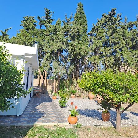 Deja Blue Villa Archangelos  Eksteriør billede