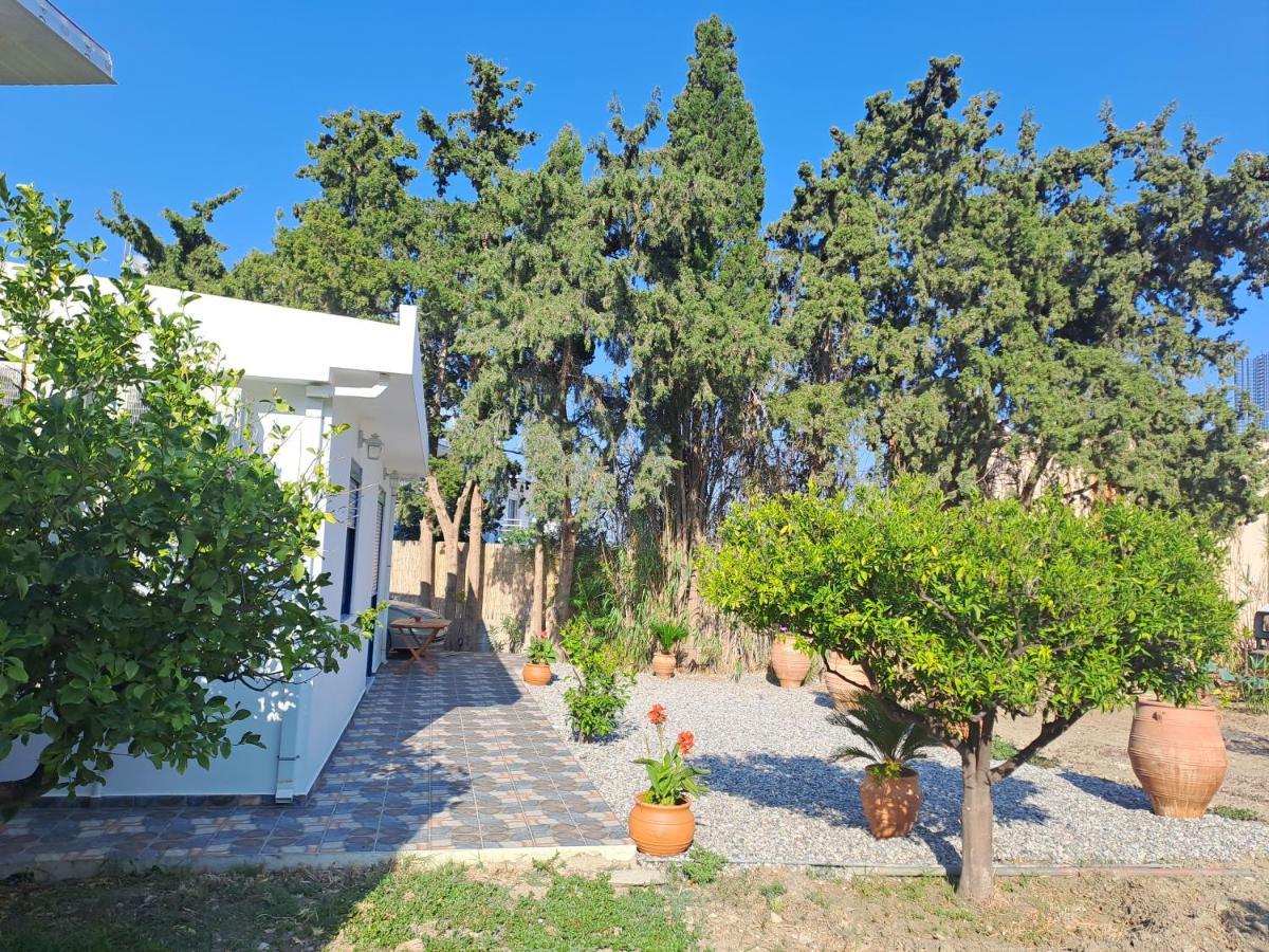 Deja Blue Villa Archangelos  Eksteriør billede